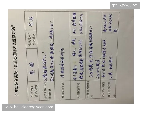 丽波真人测试与其他测试工具的比较分析，选择最适合你的方案