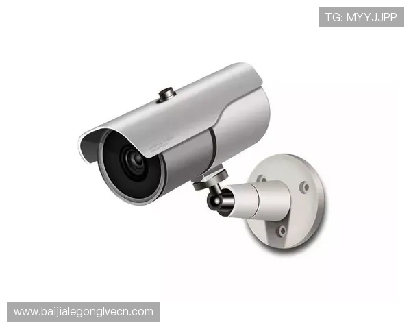 如何在AG真人旗舰厅下载中保障账号安全与个人信息隐私的实用技巧