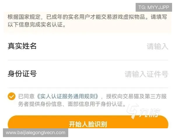 购买ag贵宾厅游戏账号的注意事项与风险防范，确保资金安全与账号稳定