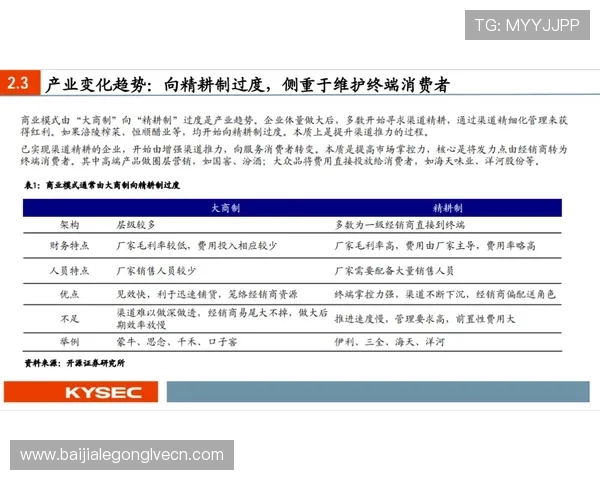 AG视讯澳会员登录安全保障措施详解，保障用户账户信息安全与资金安全